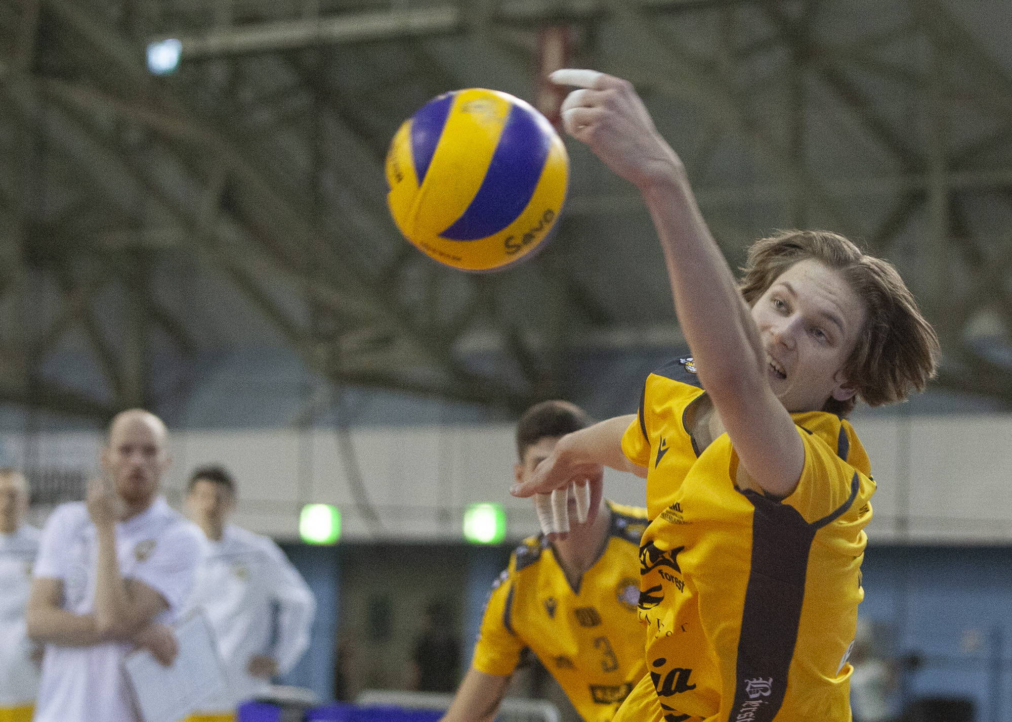 Savo Volleyn tahti ei laannu – nyt kaatui Loimu puhtaasti 3-0