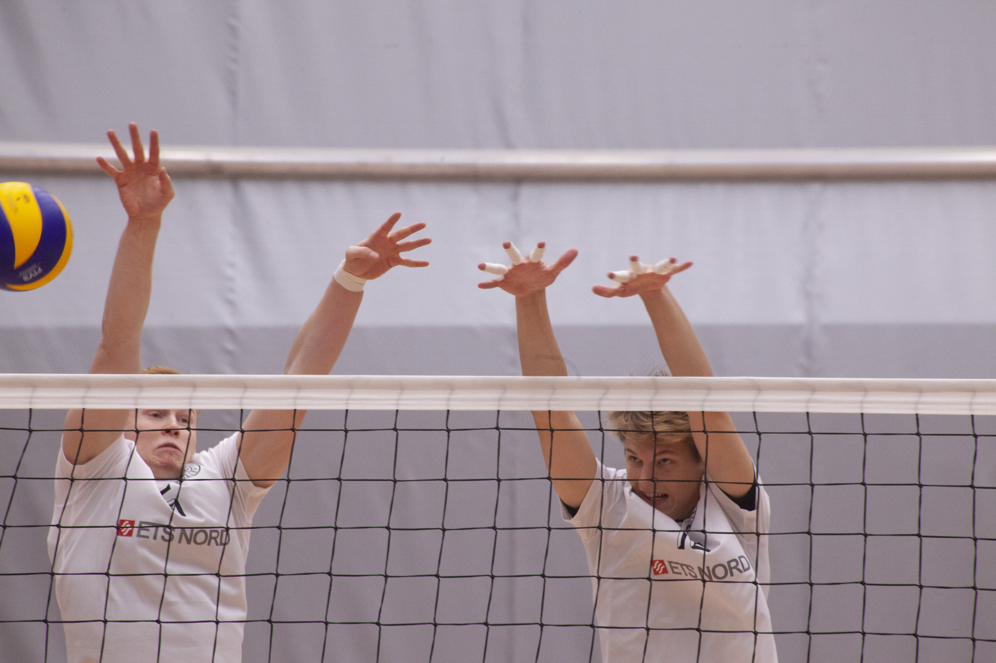 Kausi avataan perinteisesti Vieremällä, vastustaja on Vantaa Ducks