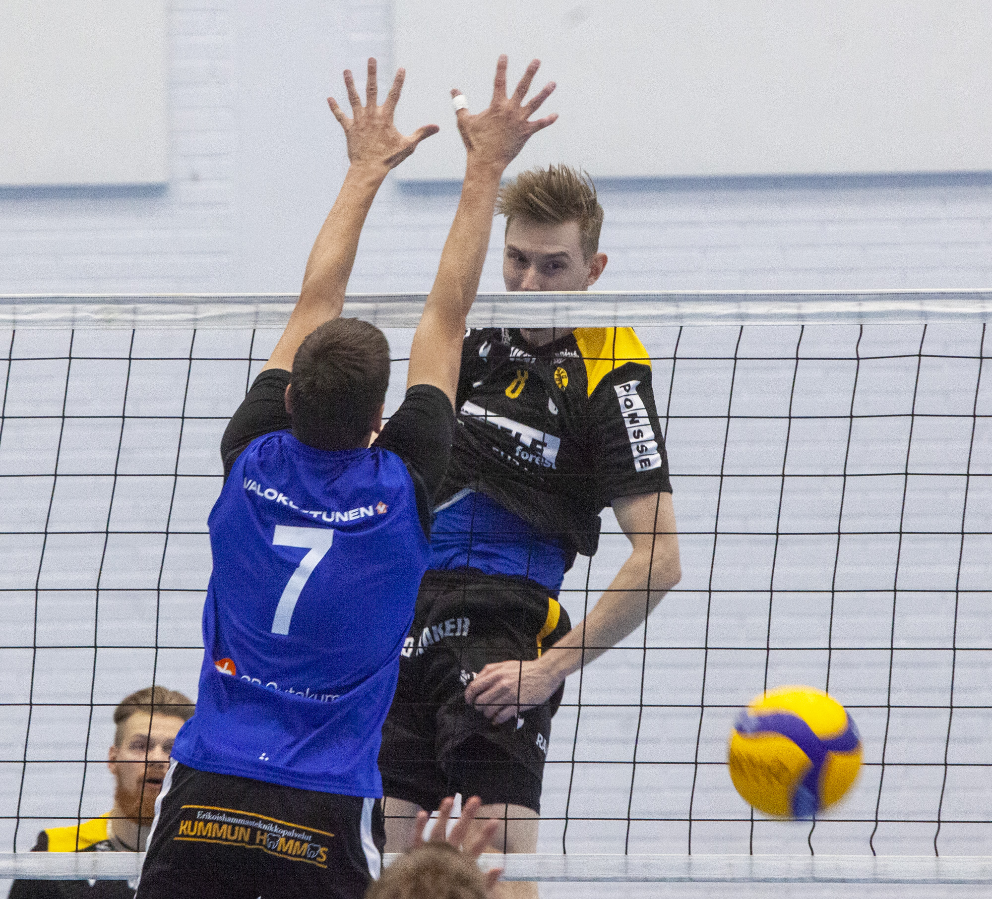 Savo Volley pelaa kolme harjoitusottelua