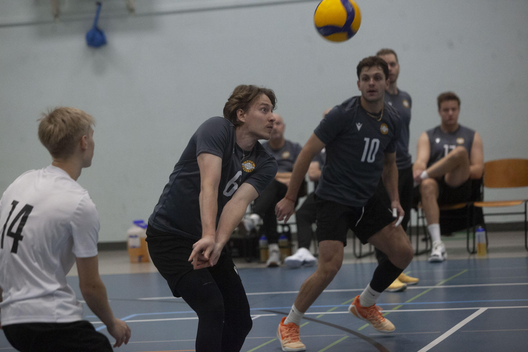Savo Volleyn kausi alkaa tutun vastustajan kohtaamisella